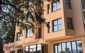 Pensiunea Alexandra